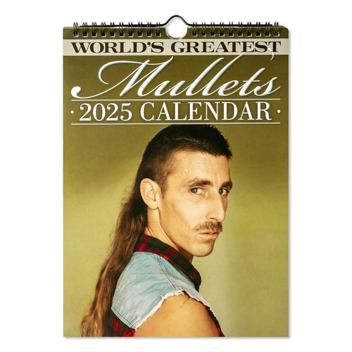 Load image into Gallery viewer, 2025 Calendar: Schedule Planner, Ideal Halloween &amp; Christmas Gift
