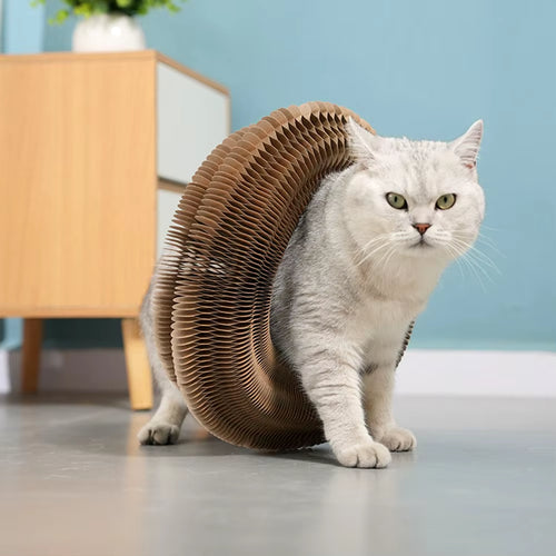 Load image into Gallery viewer, PurrfectScratch Magic Organ Cat Scratching Board – Interactive Claw Grinder &amp; Fun Toy for Cats
