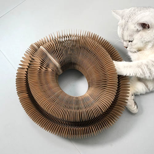 Load image into Gallery viewer, PurrfectScratch Magic Organ Cat Scratching Board – Interactive Claw Grinder &amp; Fun Toy for Cats
