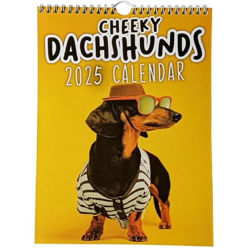 Load image into Gallery viewer, 2025 Calendar: Schedule Planner, Ideal Halloween &amp; Christmas Gift
