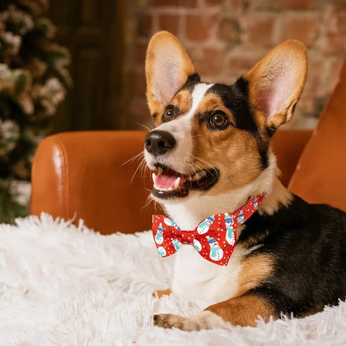 Load image into Gallery viewer, Christmas Dog Collar with Bow Tie 2 Pack Holiday Santa and Snowman Collar for Small Medium Large Dogs Pets Puppies Small(1117 N
