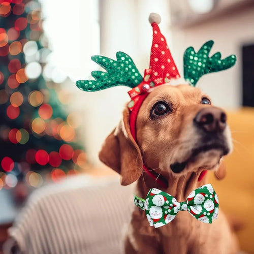 Load image into Gallery viewer, Christmas Dog Collar with Bow Tie 2 Pack Holiday Santa and Snowman Collar for Small Medium Large Dogs Pets Puppies Small(1117 N
