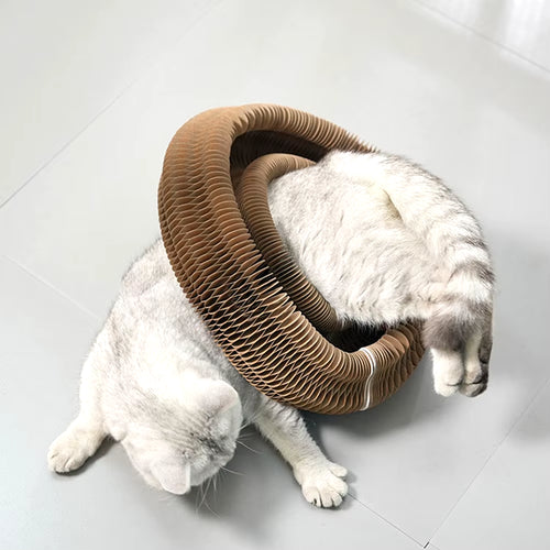 Load image into Gallery viewer, PurrfectScratch Magic Organ Cat Scratching Board – Interactive Claw Grinder &amp; Fun Toy for Cats
